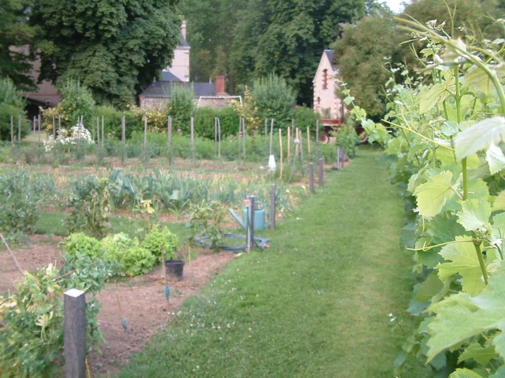 Chateau Du Beugnon Bed & Breakfast Tigne Bagian luar foto
