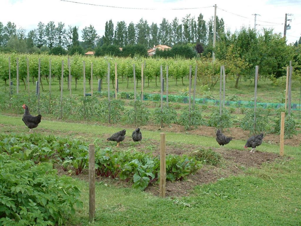 Chateau Du Beugnon Bed & Breakfast Tigne Bagian luar foto